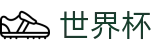 2026国际足联世界杯买球官方旗舰店 | 足球买球站站在哪真假辨别